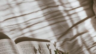 green plant on white textile