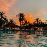 palm trees on body of water during sunset